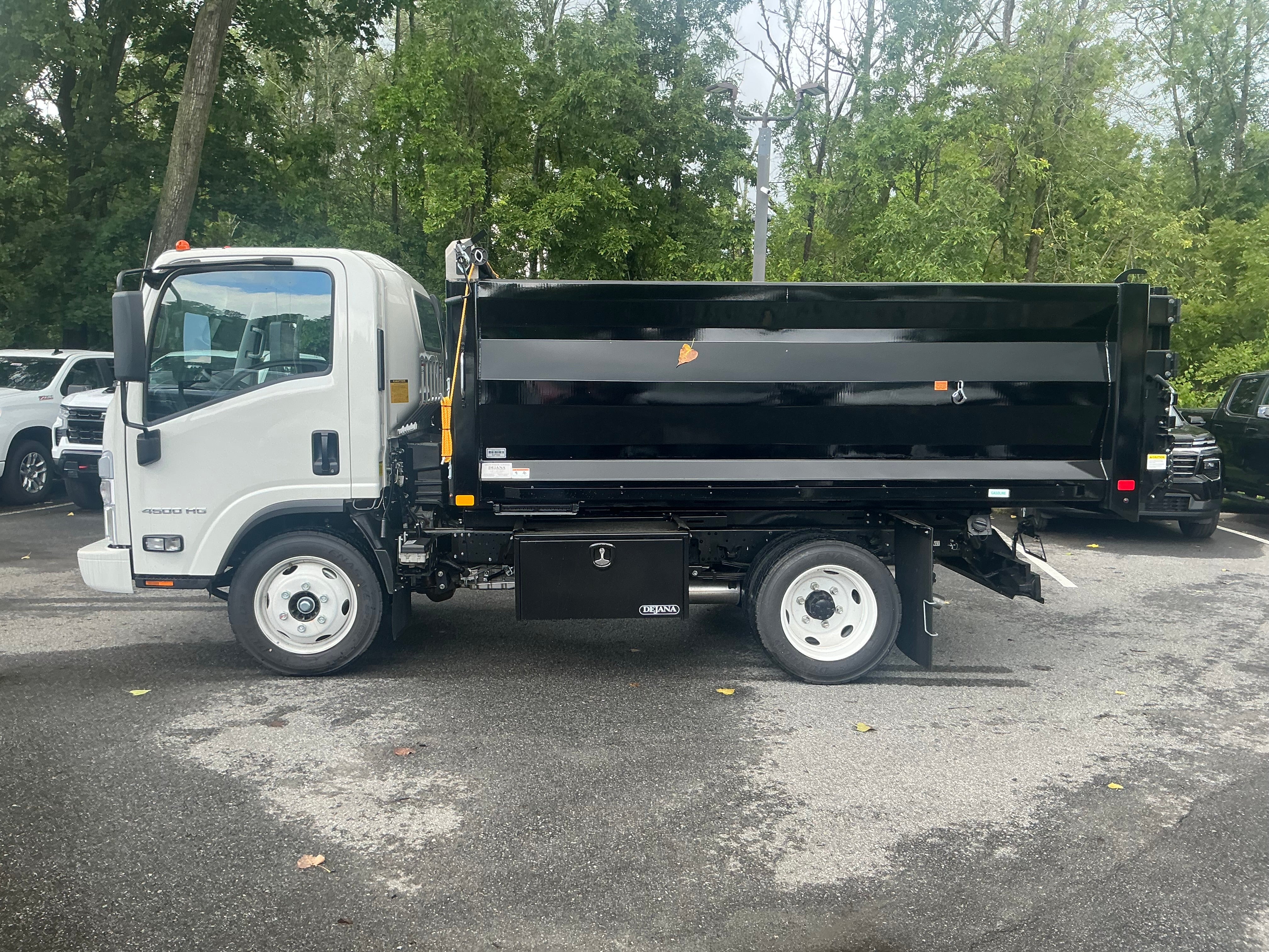 2025 Chevrolet Low Cab Forward 4500 HG 1WT