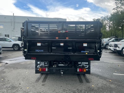 2025 Chevrolet Low Cab Forward 4500 HG 1WT