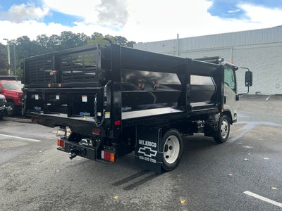 2025 Chevrolet Low Cab Forward 4500 HG 1WT