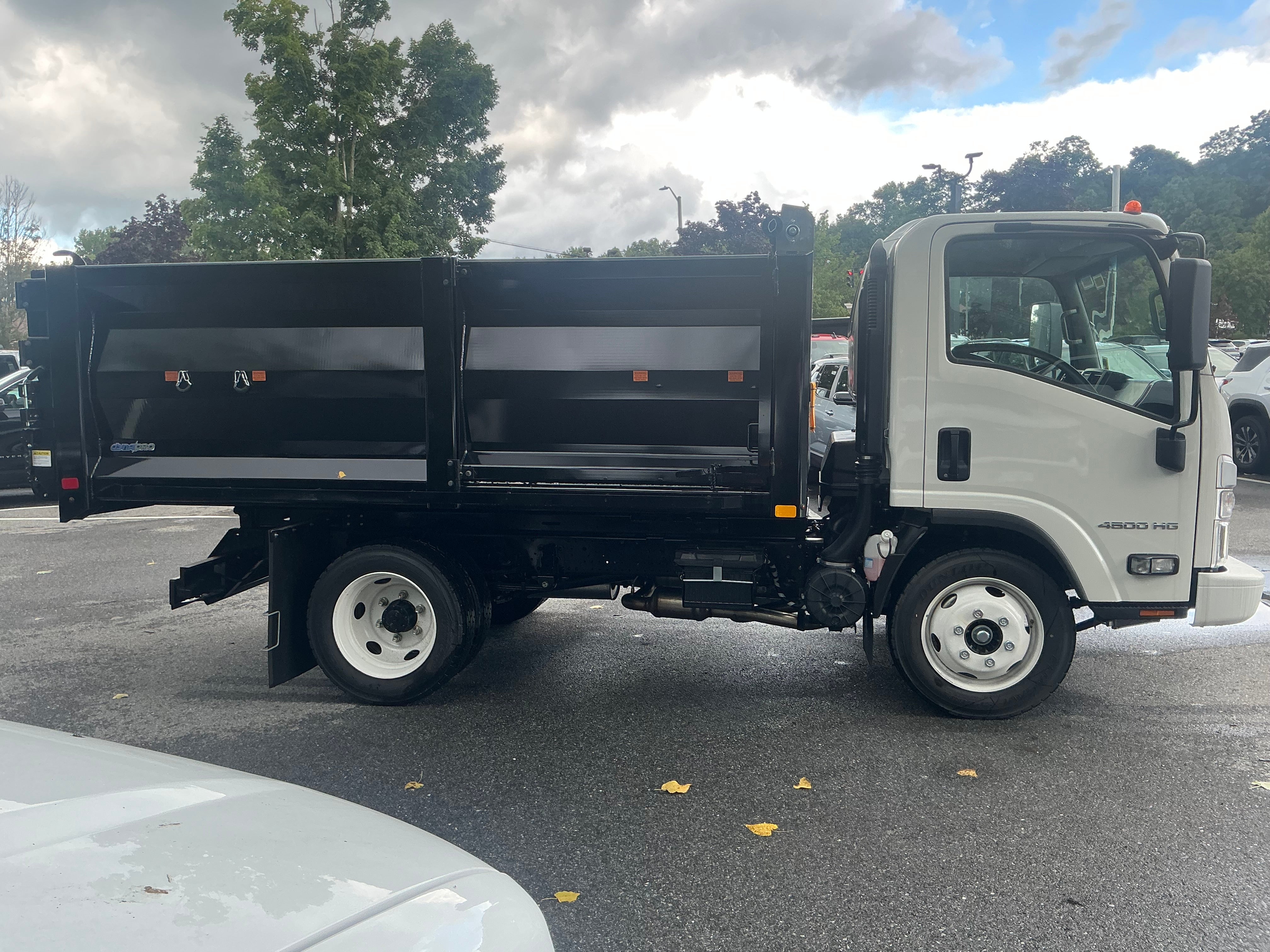 2025 Chevrolet Low Cab Forward 4500 HG 1WT